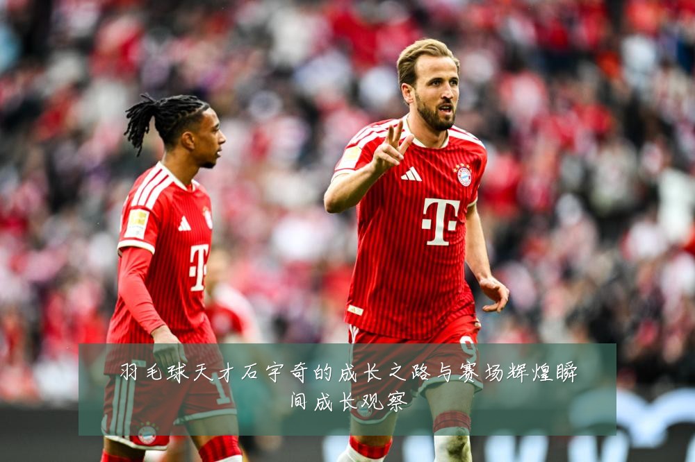 羽毛球天才石宇奇的成长之路与赛场辉煌瞬间成长观察